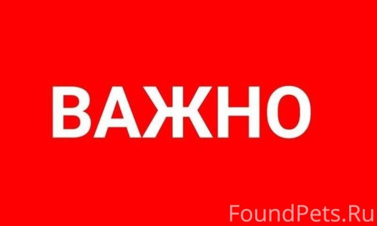 Финансовая грамотность. Финансовая грамотность.